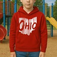 Ohio State Distressed Kids Hoodie thumb 2