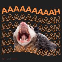 Opossum Screaming Funny Possum Trash Cat Meme Beanie thumb 2