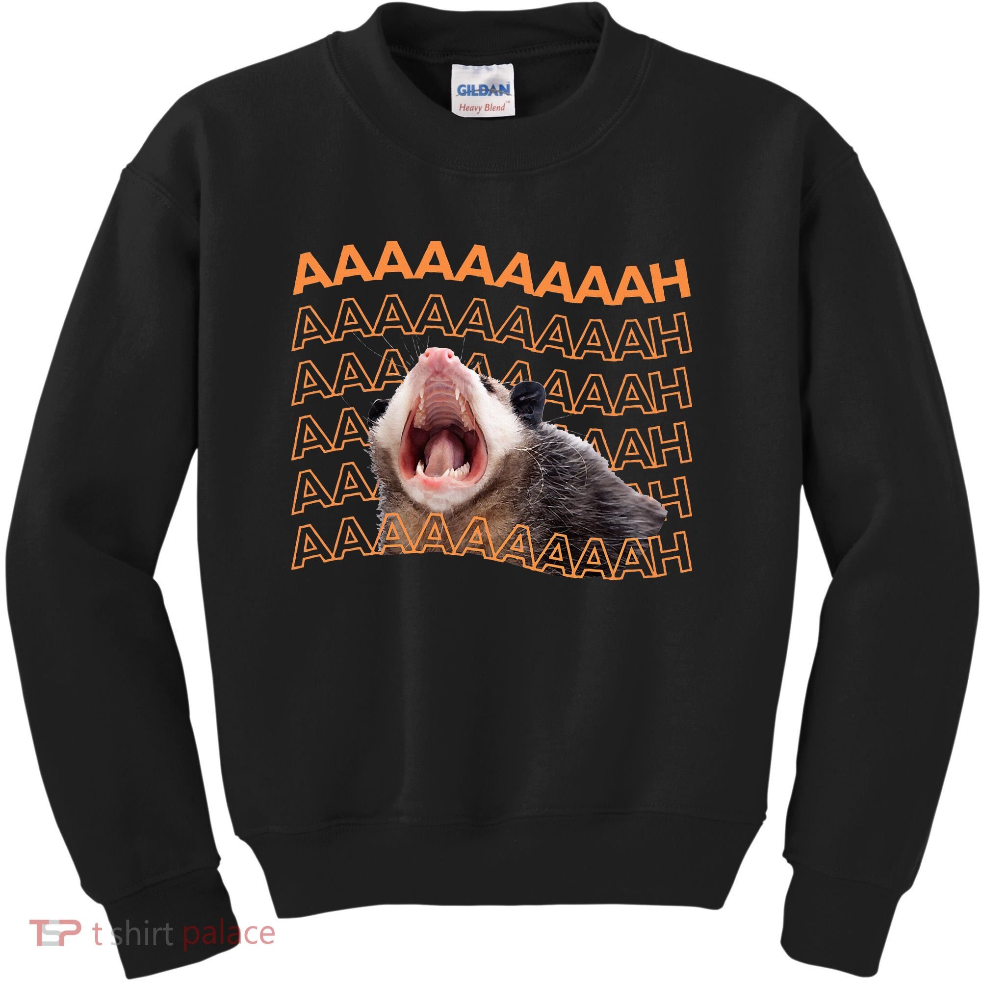 Opossum Screaming Funny Possum Trash Cat Meme Kids Sweatshirt