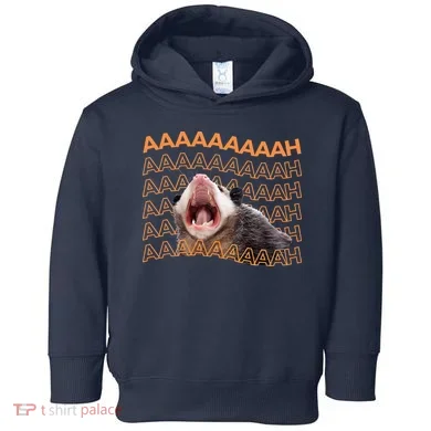 Toddler Hoodie