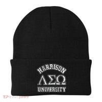 Old School Fraternity Comedy Property Harrison University Beanie thumb 0