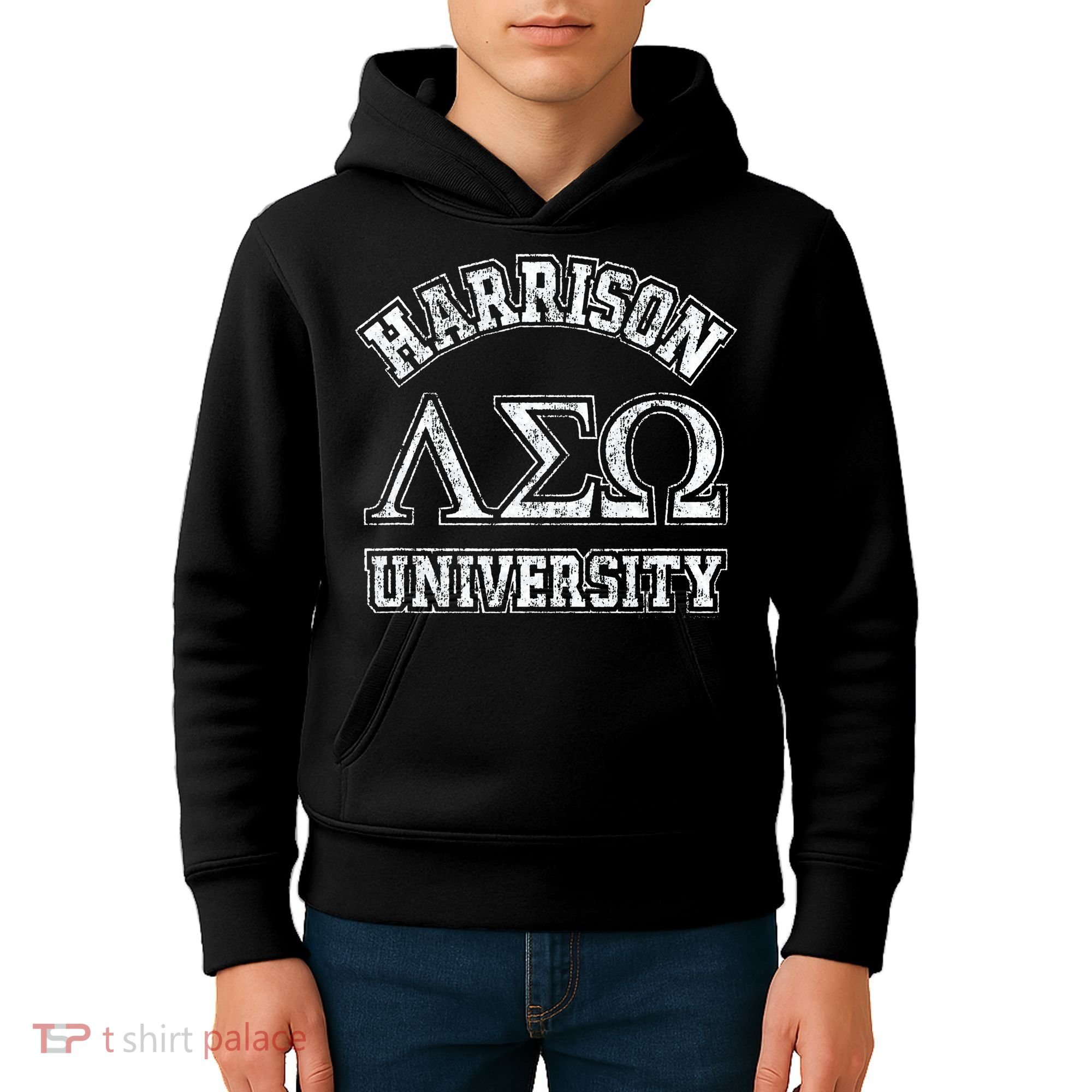 Old School Fraternity Comedy Property Harrison University Kids Hoodie