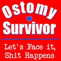 Ostomy Survivor Lets Face It Shit Happens Colon Cancer Great Gift Santa Hat thumb 1