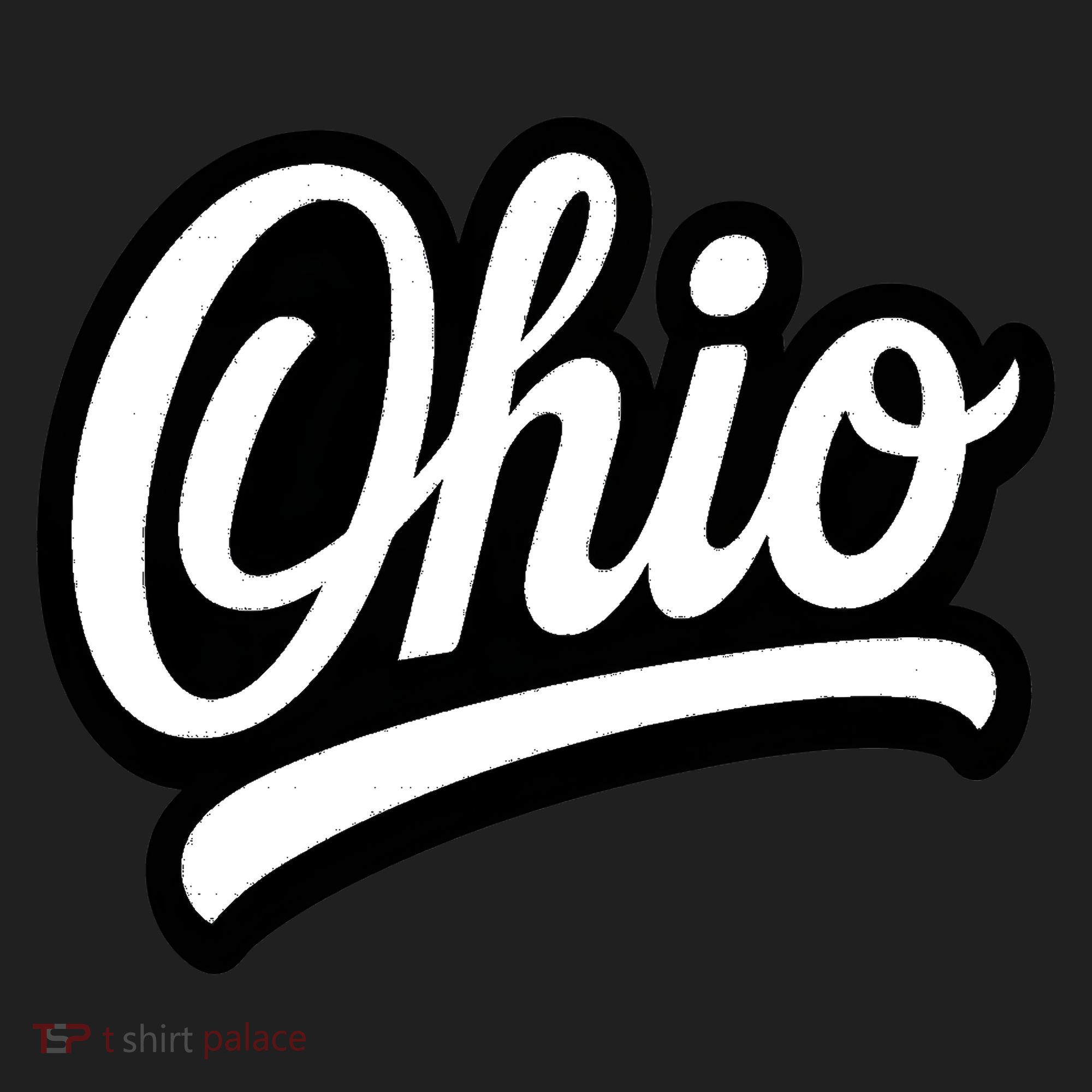 Ohio Script Logo Sports Team Fan College Varsity Beanie