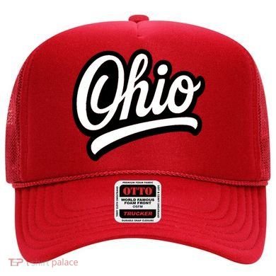 Ohio Script Logo Sports Team Fan College Varsity Hat