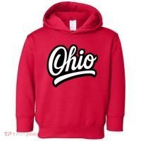 Ohio Script Logo Sports Team Fan College Varsity Toddler Hoodie thumb 0