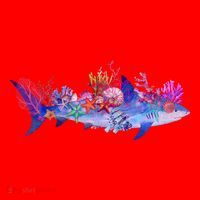 Ocean Sea Life Shark Santa Hat thumb 1