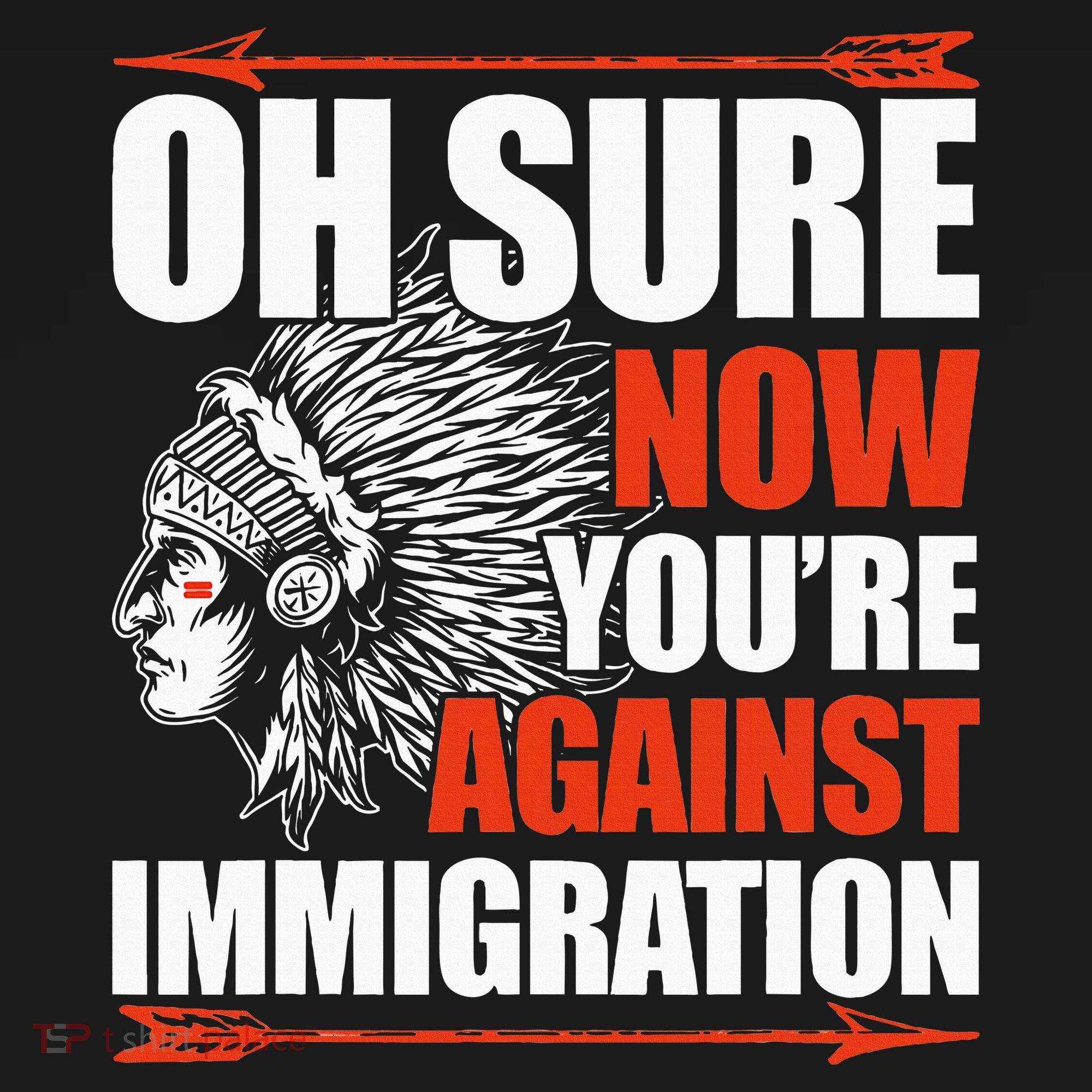 Oh Sure Now YouRe Against Immigration Native American Women's Hoodie