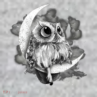 Owl Sitting On The Moon Gift The Baniff Cuffed Pom Beanie thumb 2