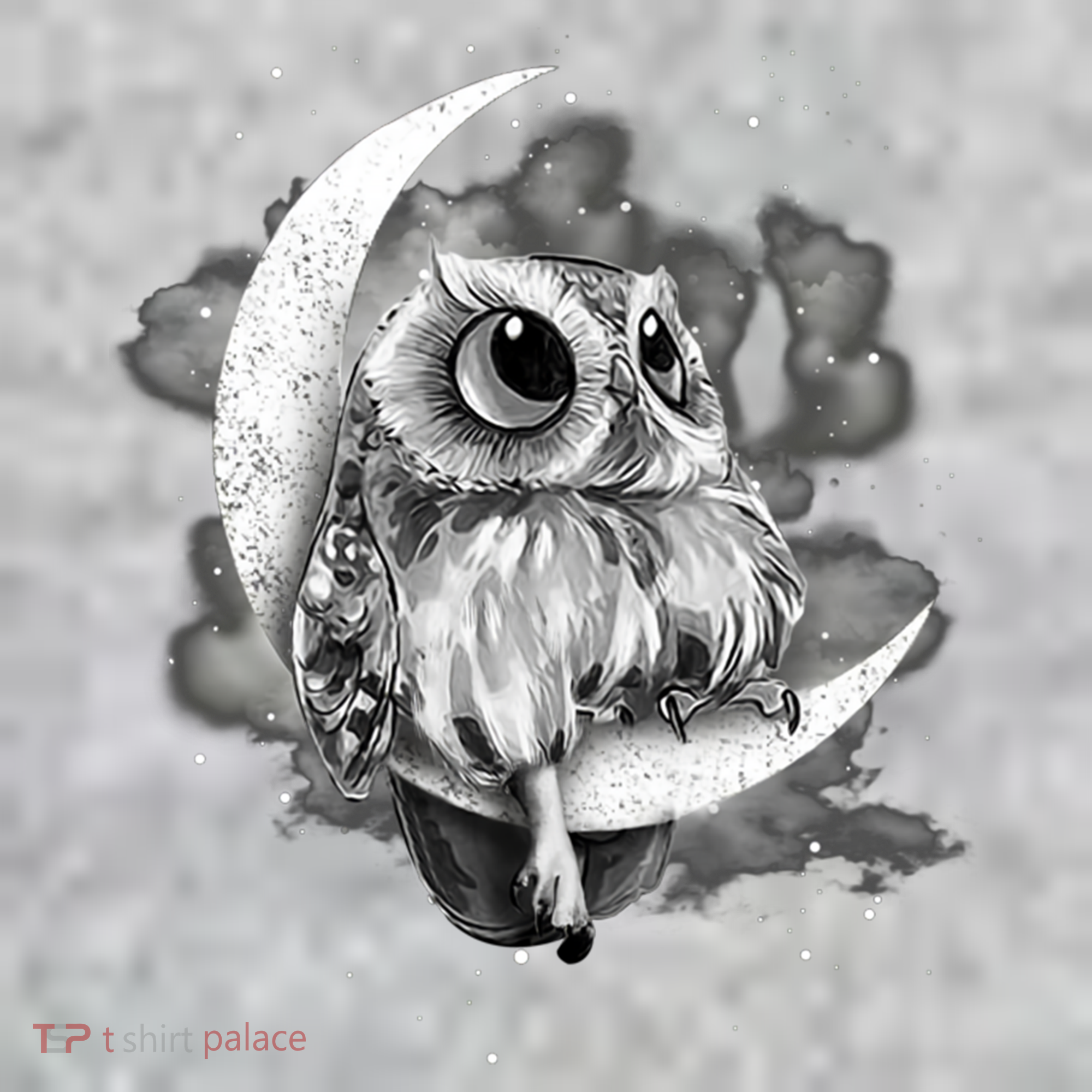 Owl Sitting On The Moon Gift The Baniff Cuffed Pom Beanie