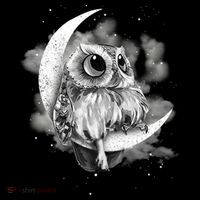 Owl Sitting On The Moon Gift Women's Hoodie thumb 2