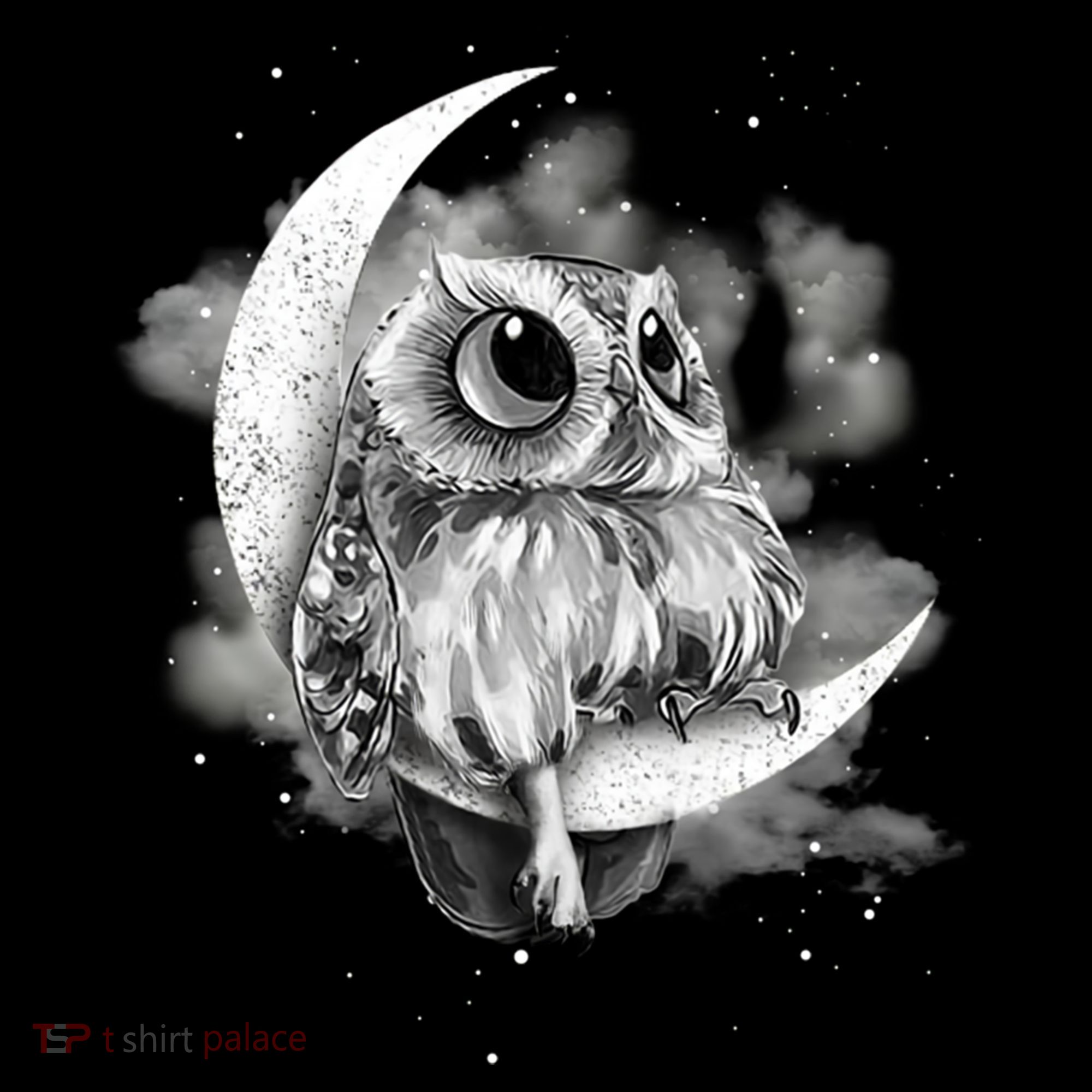 Owl Sitting On The Moon Gift Women's Hoodie