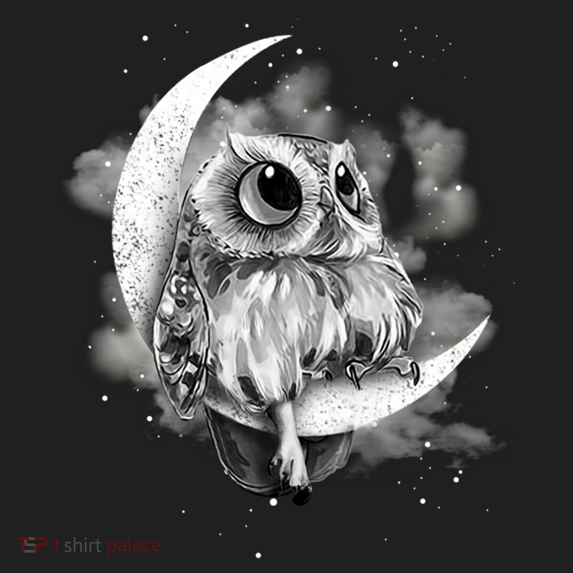 Owl Sitting On The Moon Gift Hat
