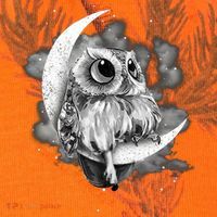 Owl Sitting On The Moon Gift Kati Licensed 12" Camo Cuffed Beanie thumb 2