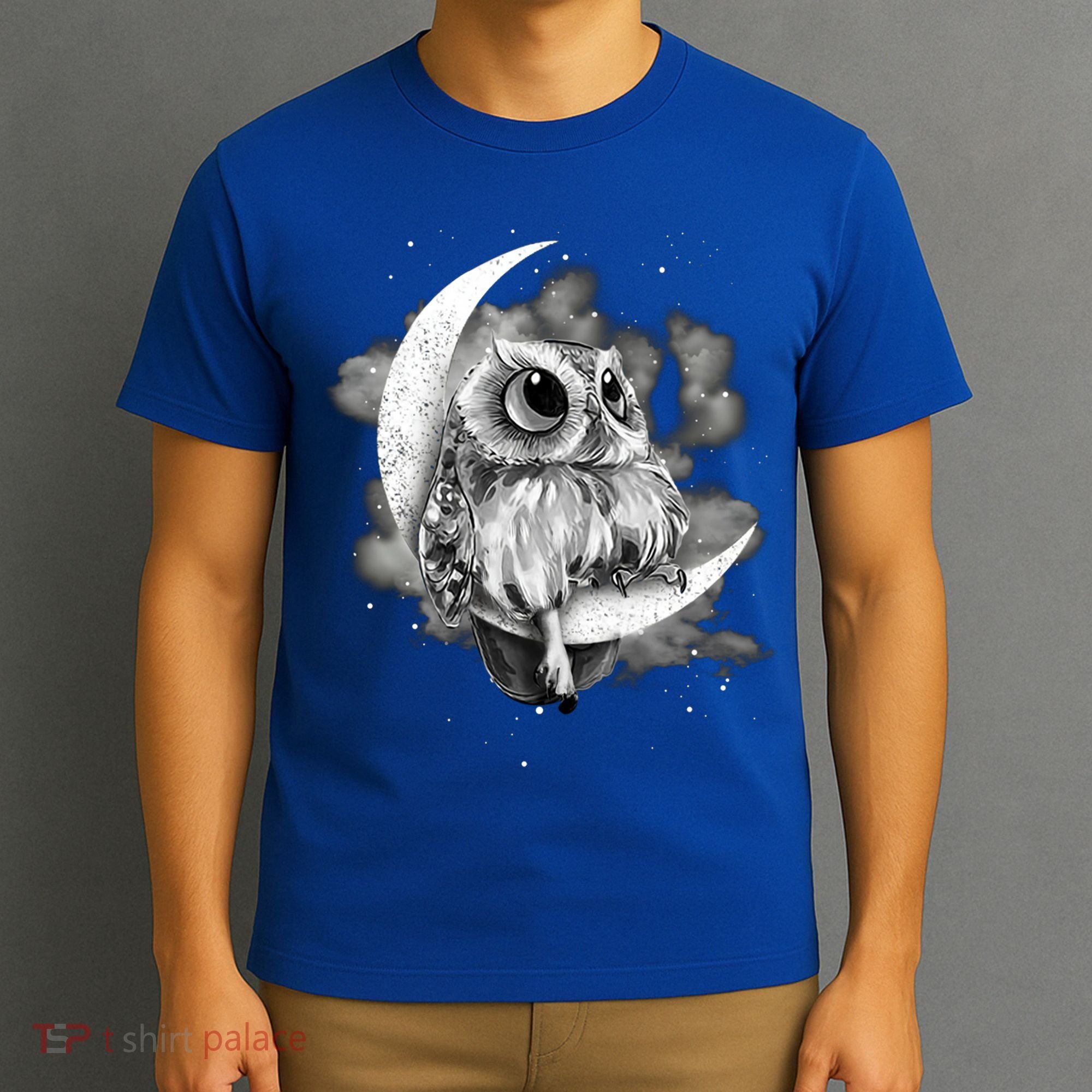 Owl Sitting On The Moon Gift T-Shirt