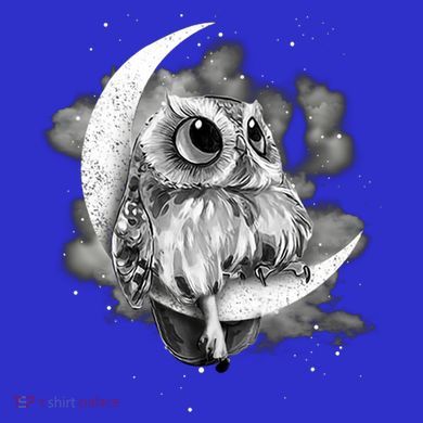 Owl Sitting On The Moon Gift Button