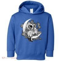 Owl Sitting On The Moon Gift Toddler Hoodie thumb 0