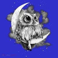 Owl Sitting On The Moon Gift Women's T-Shirt thumb 6