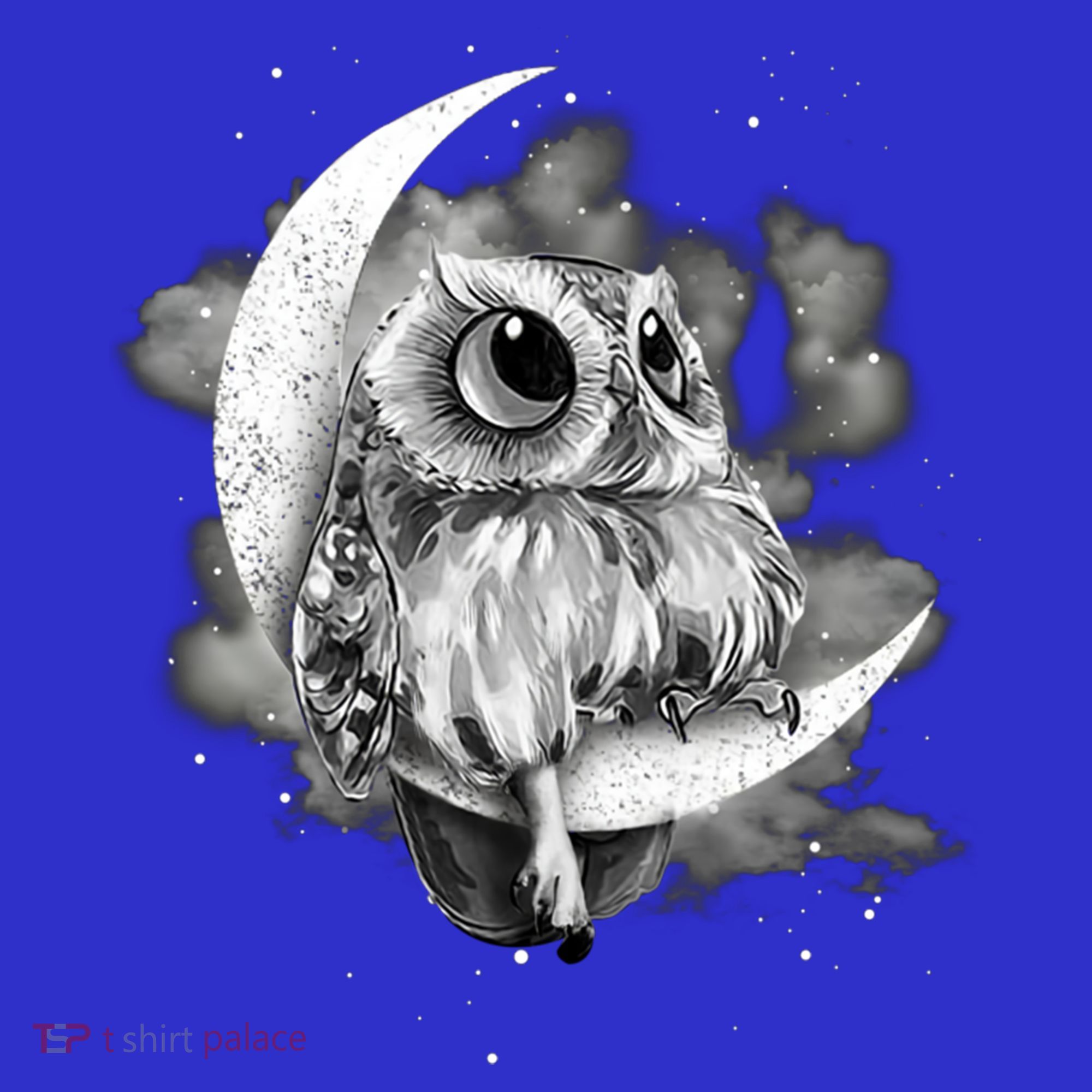 Owl Sitting On The Moon Gift Women's T-Shirt