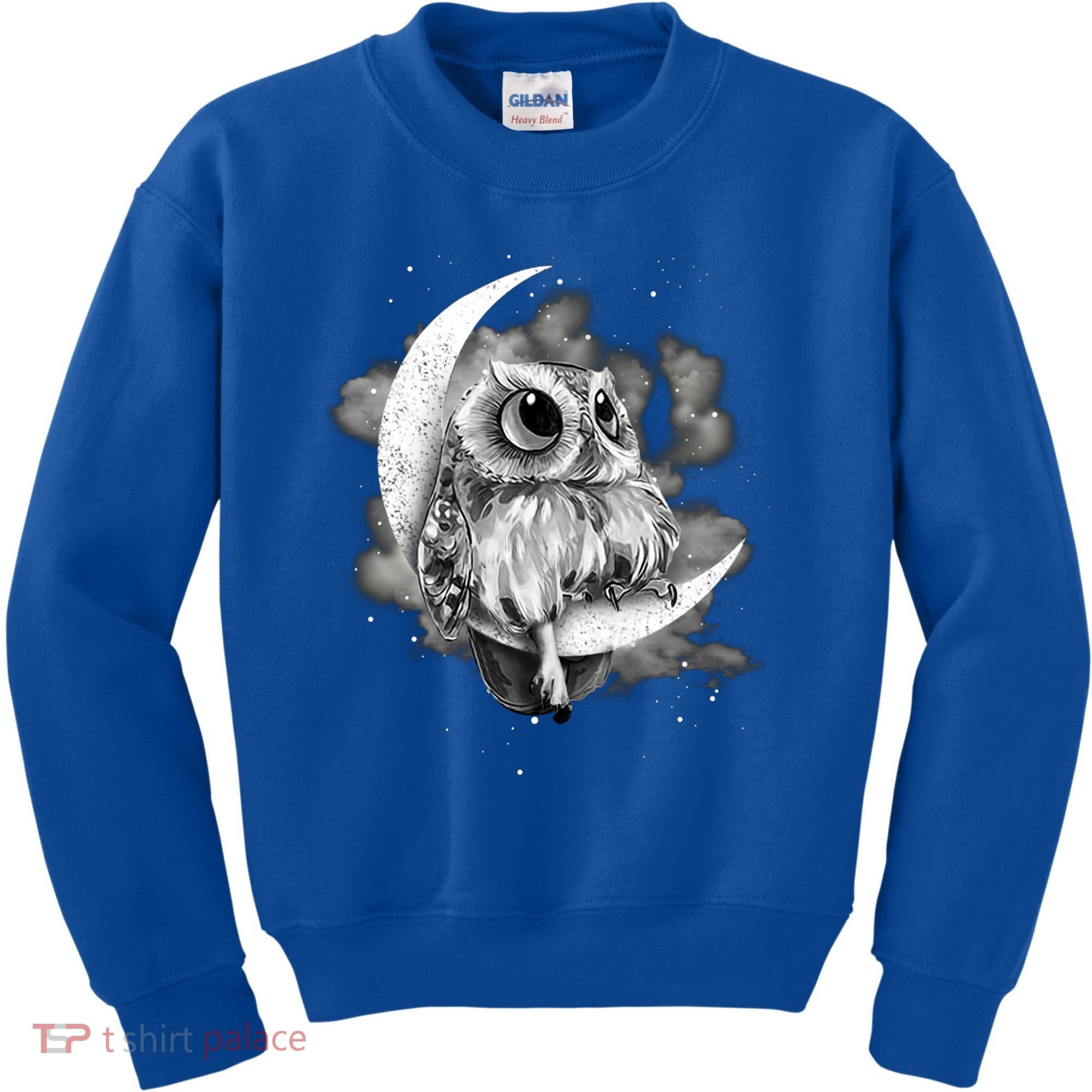 Owl Sitting On The Moon Gift Kids Sweatshirt