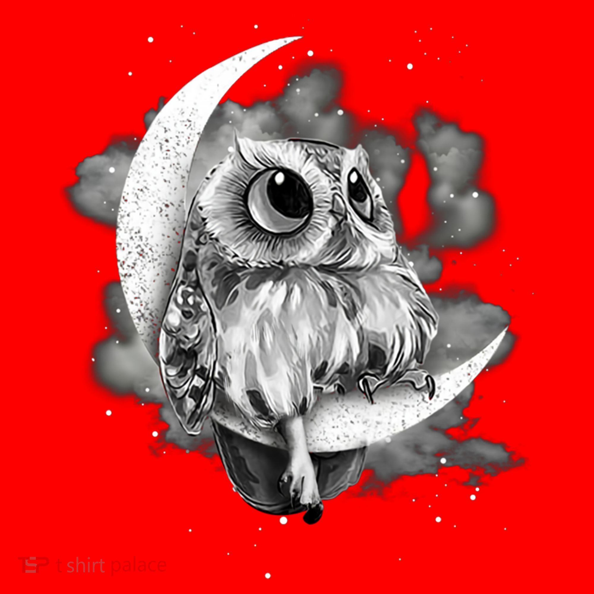 Owl Sitting On The Moon Gift Santa Hat