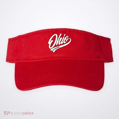 Visor