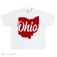 Ohio State Urban Oversized Heavyweight T-Shirt thumb 0
