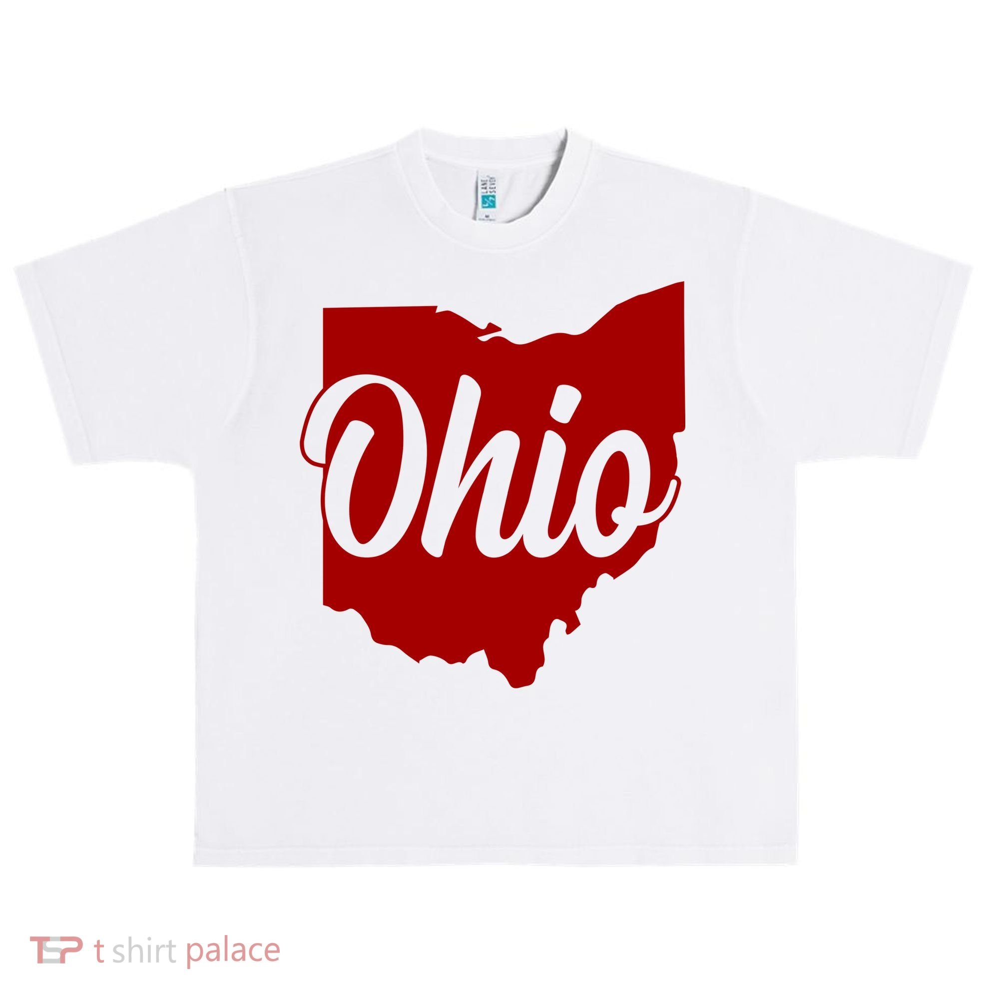 Ohio State Urban Oversized Heavyweight T-Shirt