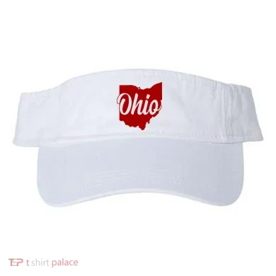 Visor