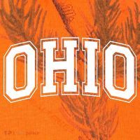 Ohio State OH USA Varsity Style White Font Kati Licensed 12" Camo Cuffed Beanie thumb 2