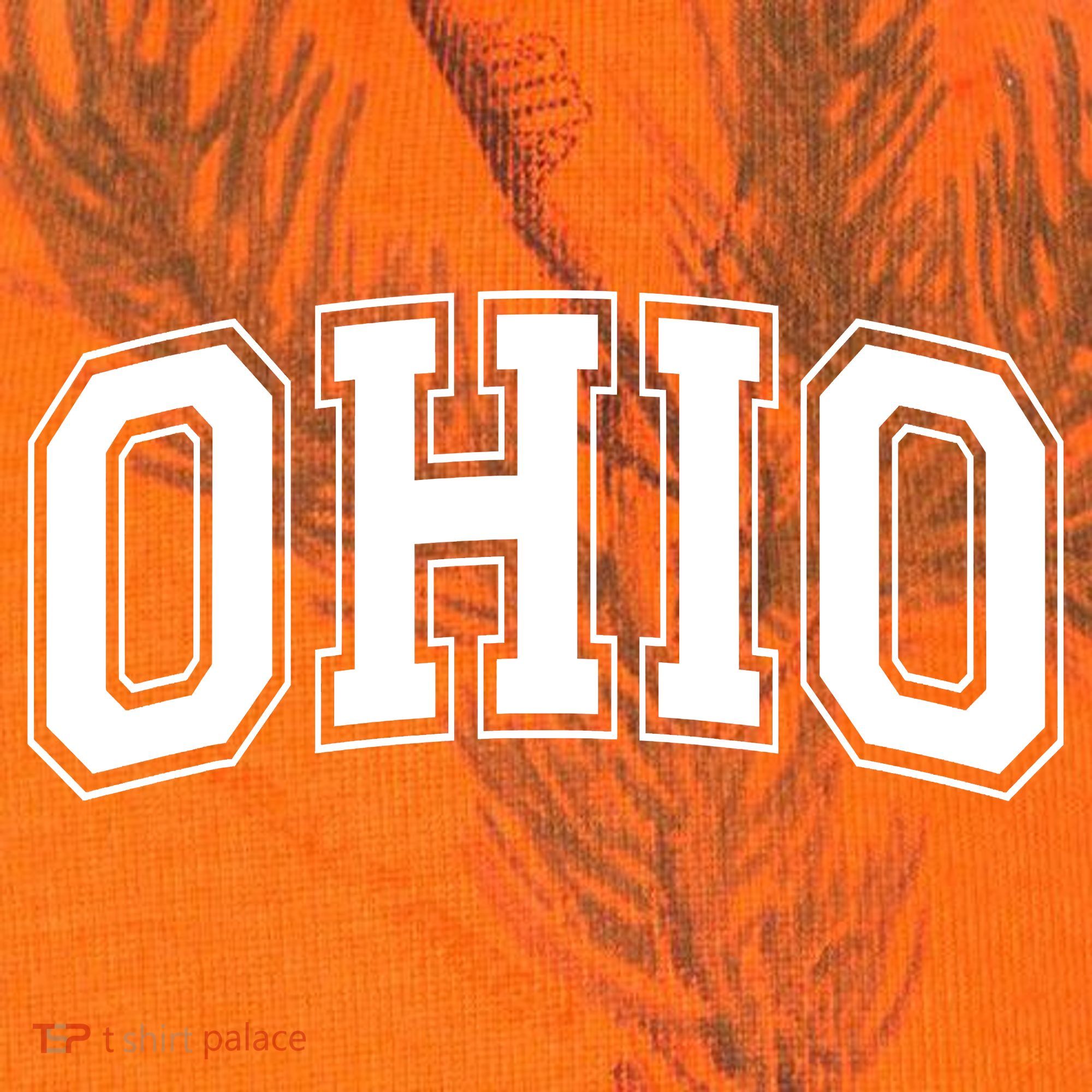 Ohio State OH USA Varsity Style White Font Kati Licensed 12" Camo Cuffed Beanie