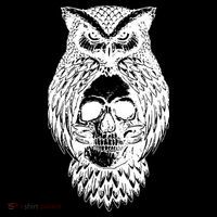 Owl Skull Kids Long Sleeve Shirt thumb 2