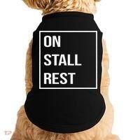 On Stall Rest Quote With Square Frame Shopping Team Doggie Tank thumb 0