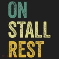 On Stall Rest Horse Comfort Colors Boxy T-Shirt thumb 3
