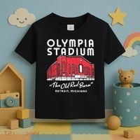 Olympia Stadium The Old Red Burn Detroit Michigan Toddler T-Shirt thumb 3