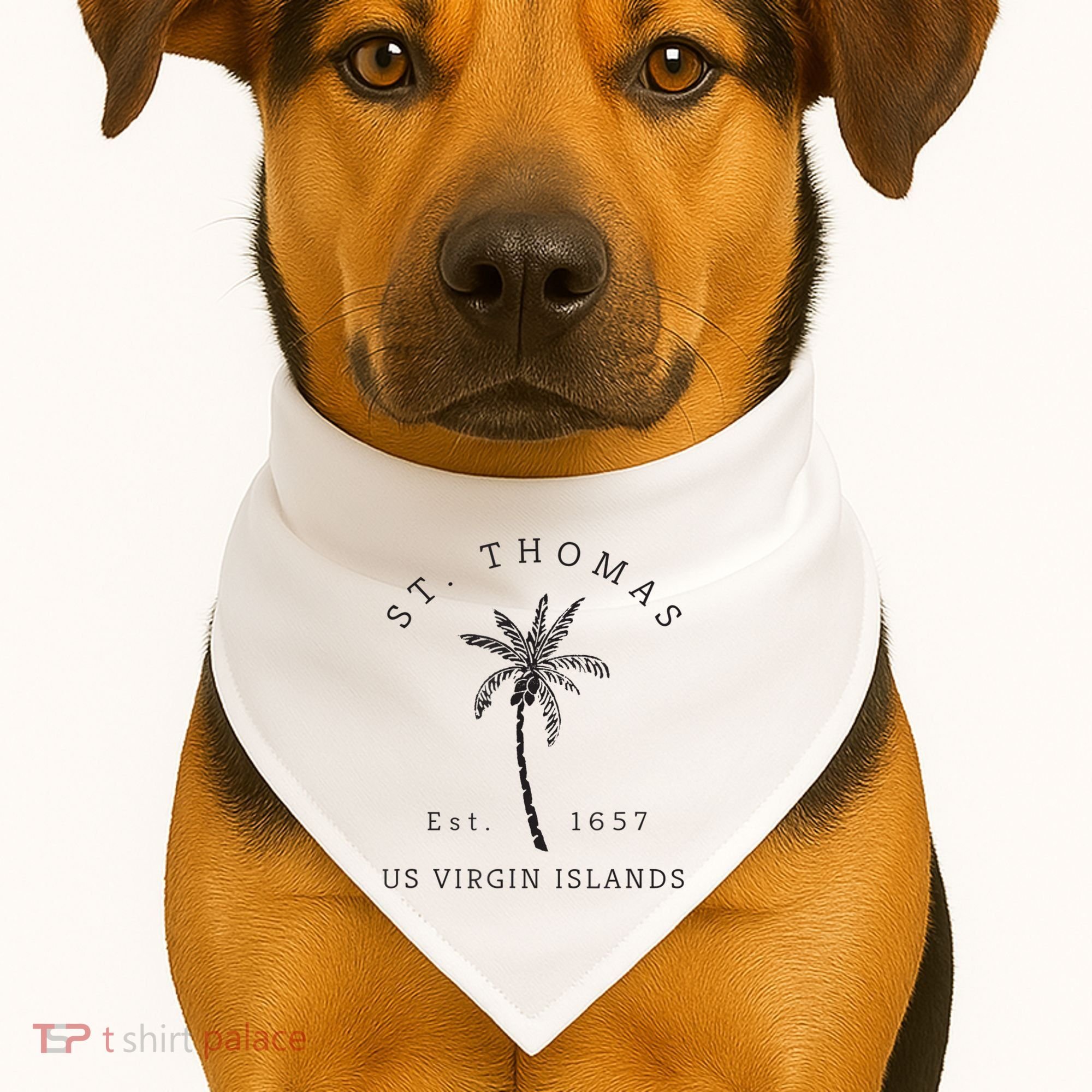 Original St. Thomas Virgin Islands Palm Tree Novelty Art USA-Made Doggie Bandana