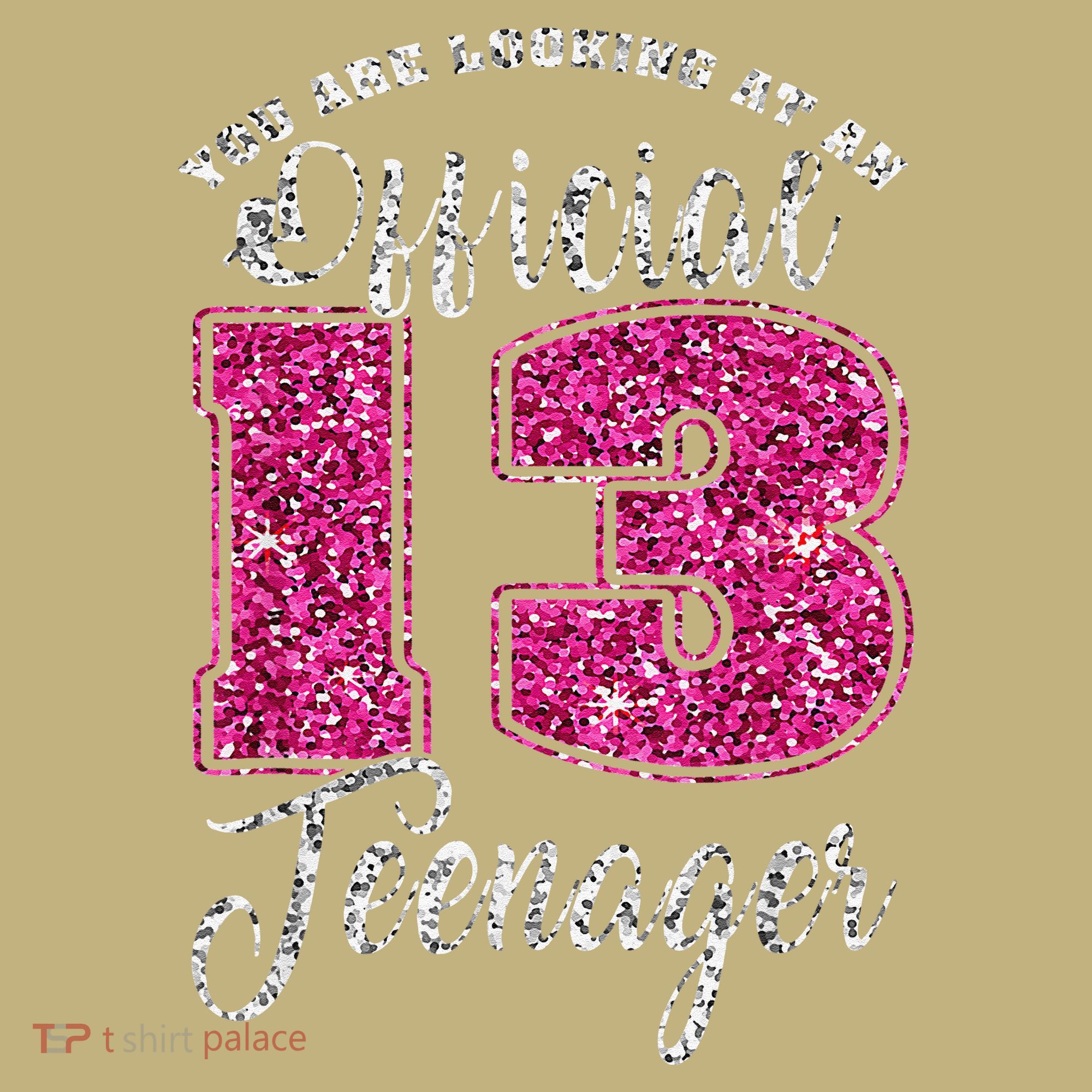 Officiall Teenager 13 Years Old 13th Birthday Sweatshirt