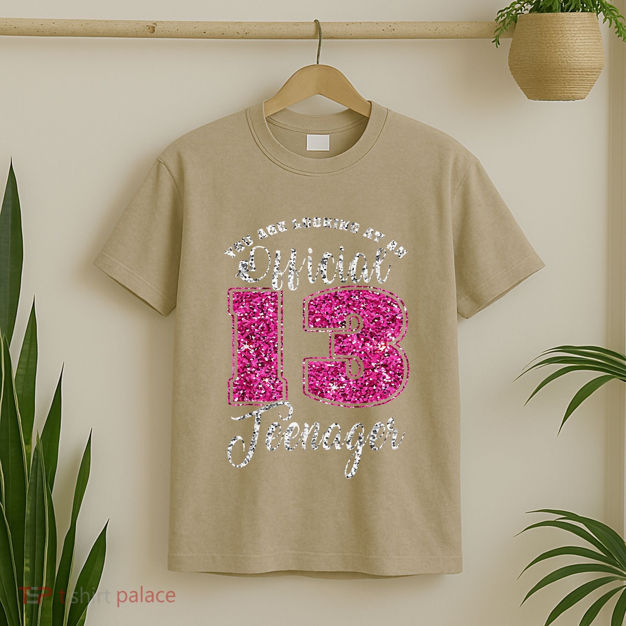 Officiall Teenager 13 Years Old 13th Birthday T-Shirt