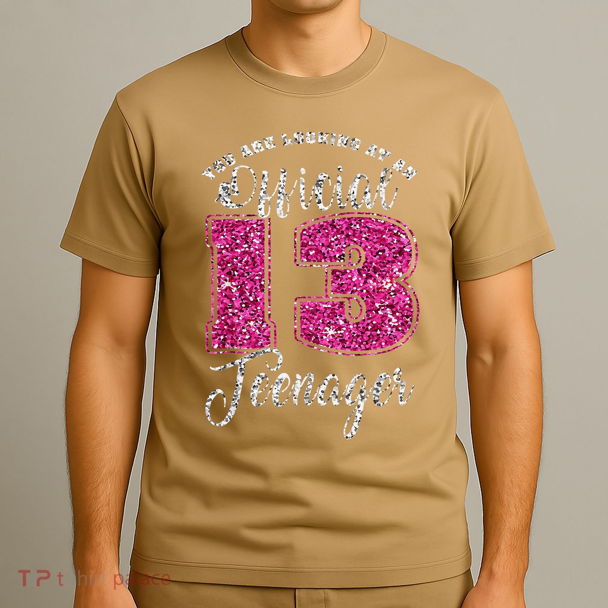 Officiall Teenager 13 Years Old 13th Birthday T-Shirt