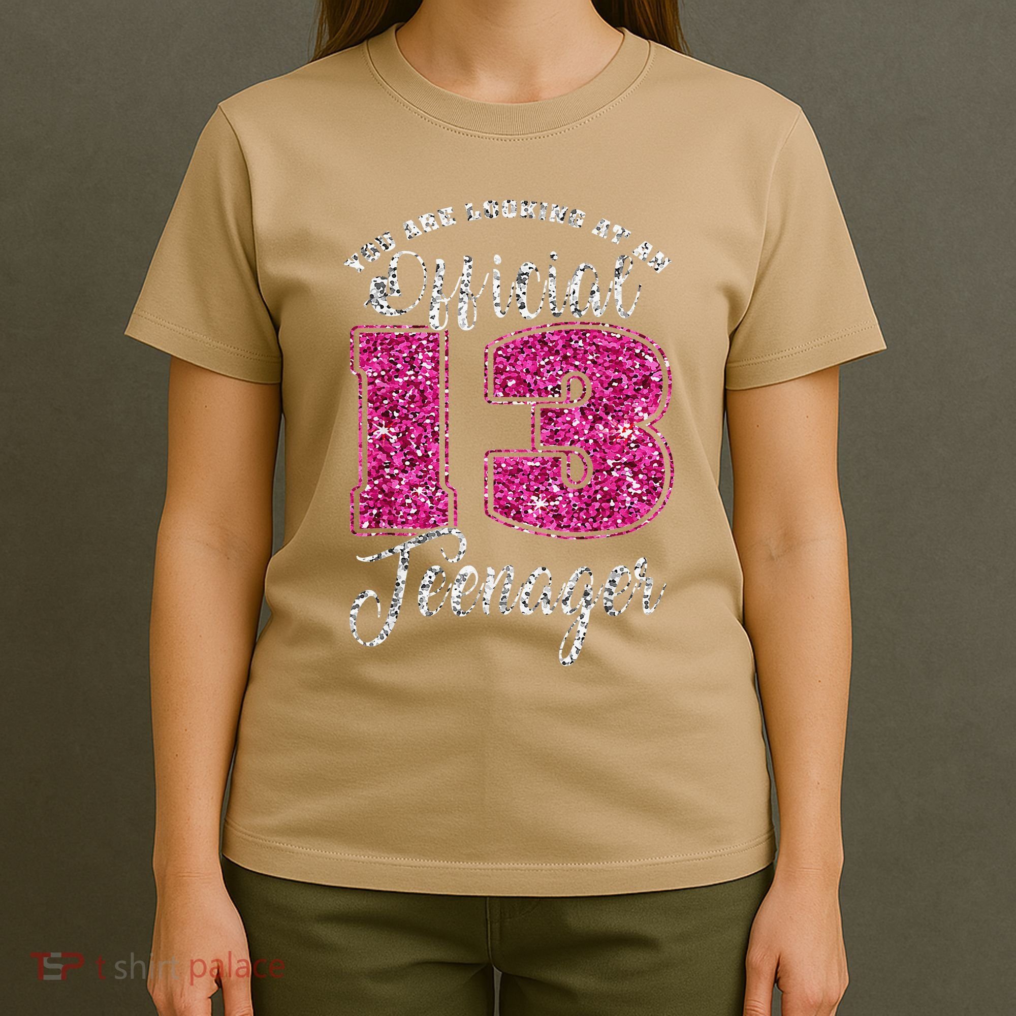 Officiall Teenager 13 Years Old 13th Birthday T-Shirt