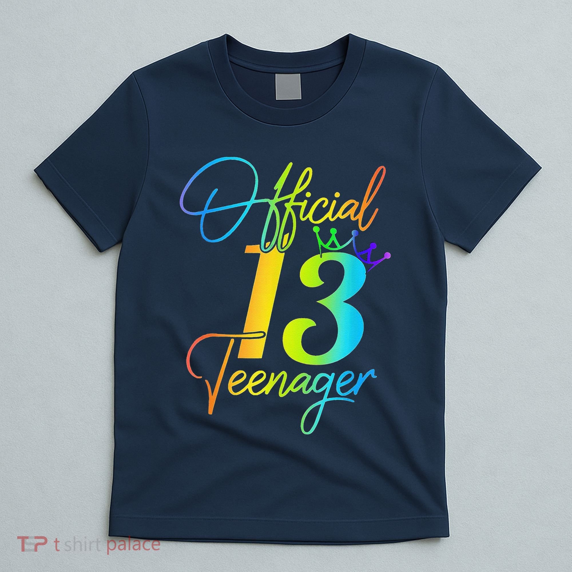 Office Teenager 13 Years Old 13th Birthday Gifts T-Shirt