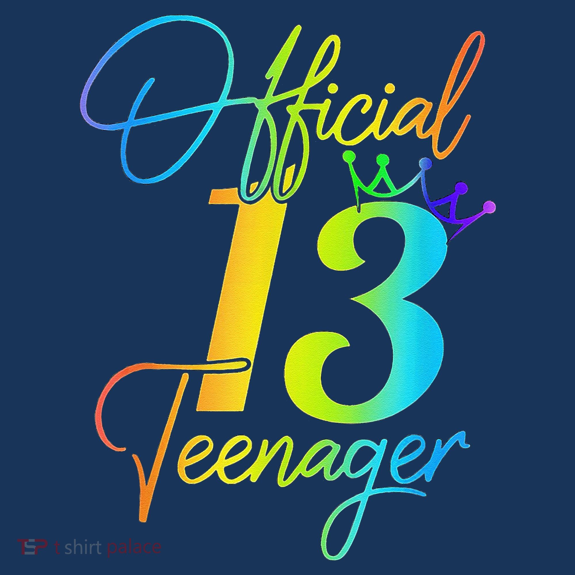 Office Teenager 13 Years Old 13th Birthday Gifts T-Shirt