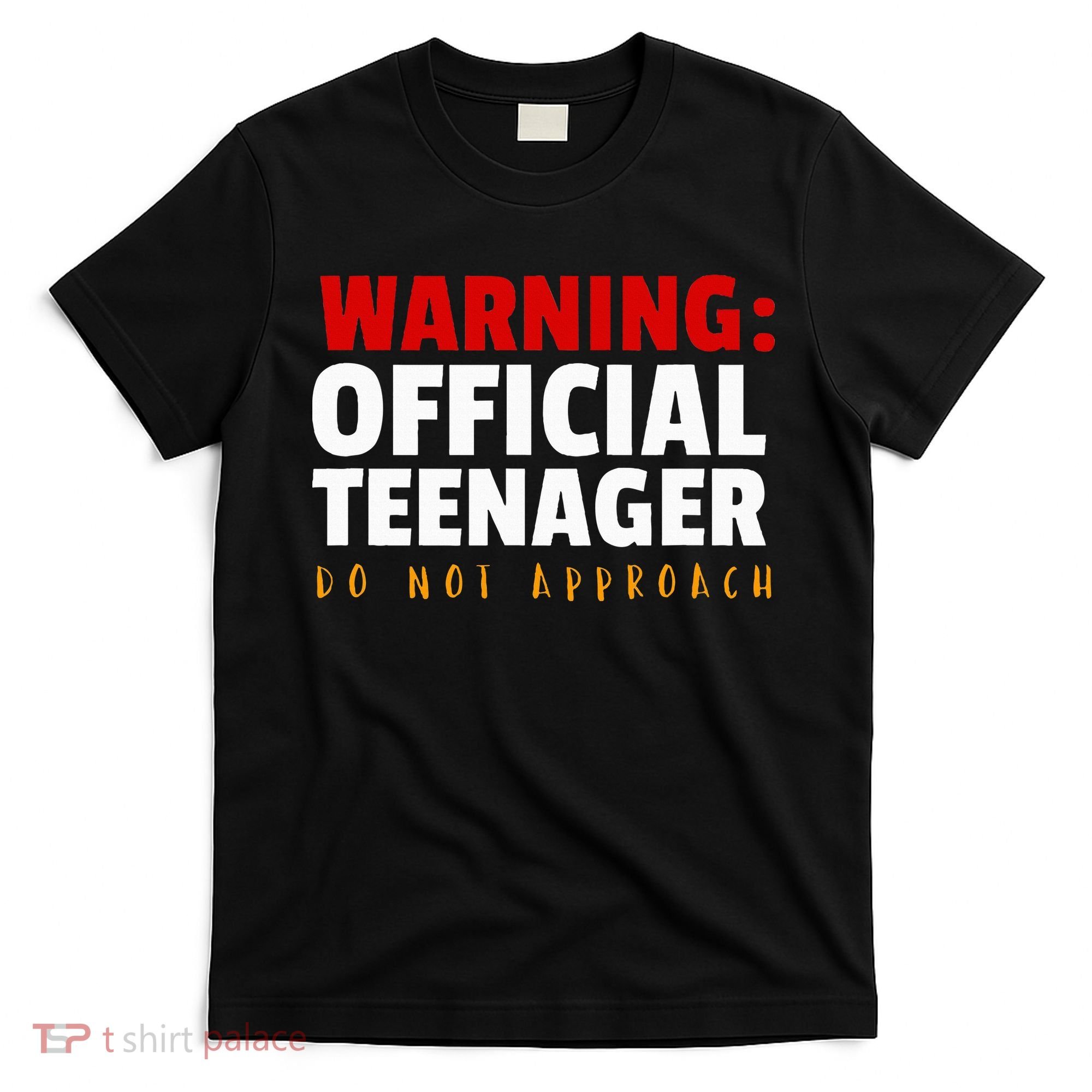 O.fficial Teenager 13th Birthday Celebration T-Shirt