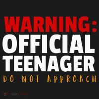 O.fficial Teenager 13th Birthday Celebration Ornament thumb 1