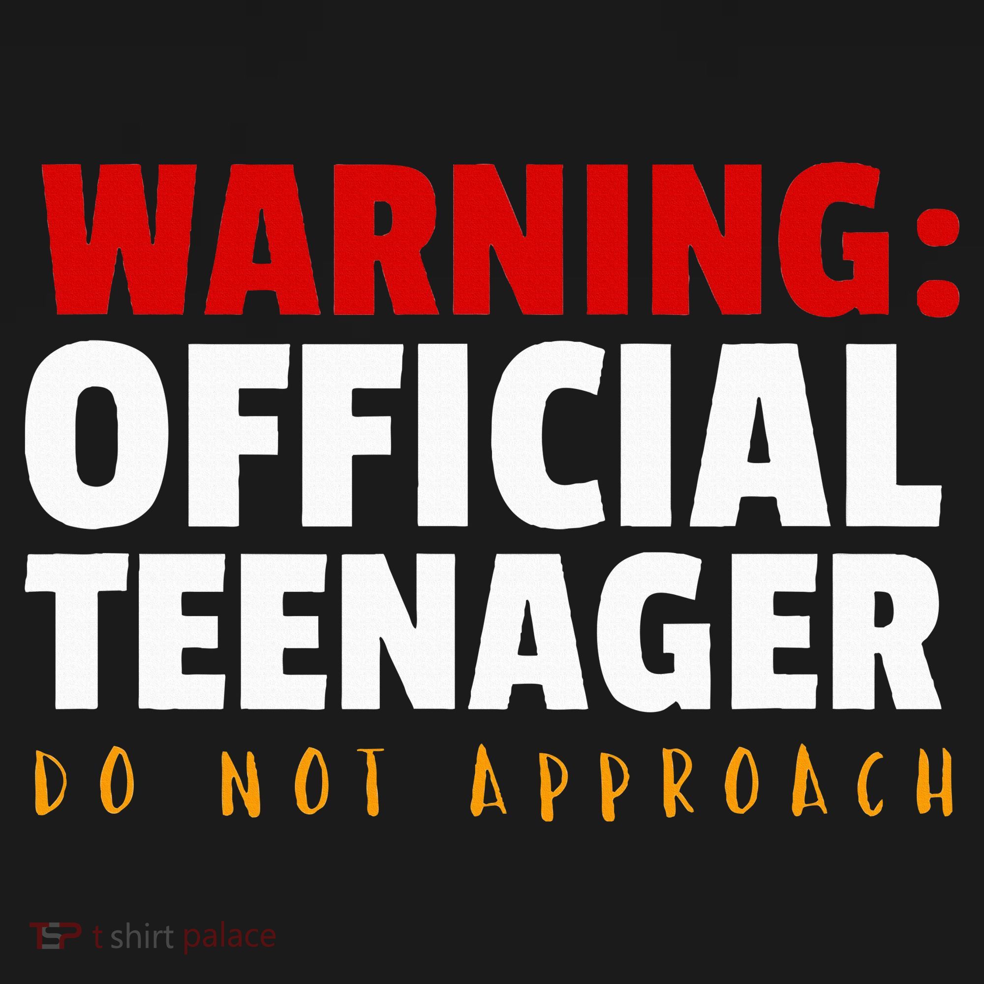 O.fficial Teenager 13th Birthday Celebration Baby Bodysuit