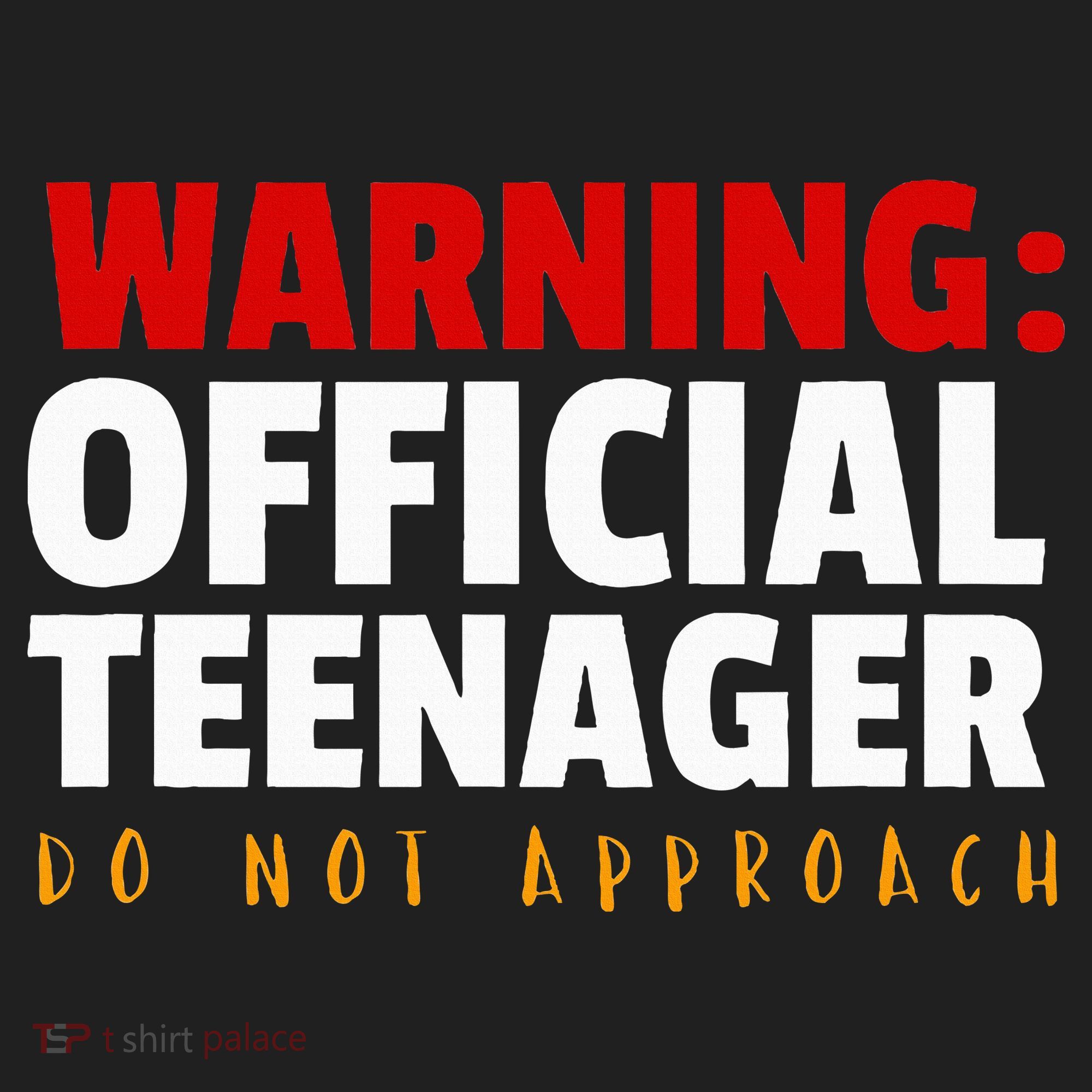 O.fficial Teenager 13th Birthday Celebration Hat