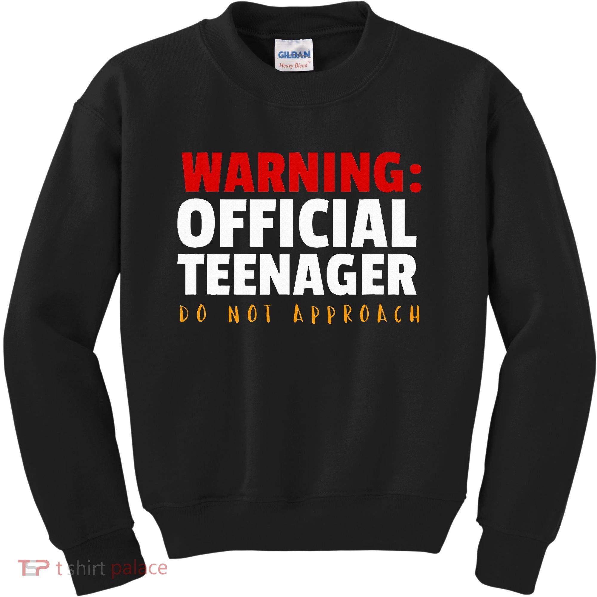 O.fficial Teenager 13th Birthday Celebration Kids Sweatshirt