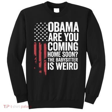 Obama The Babysitter Is Weird Funny Sweatshirt