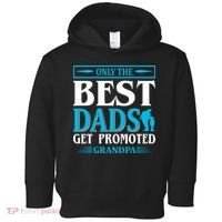 Only The Best Dads Get Promoted To Grandpa Toddler Hoodie thumb 0