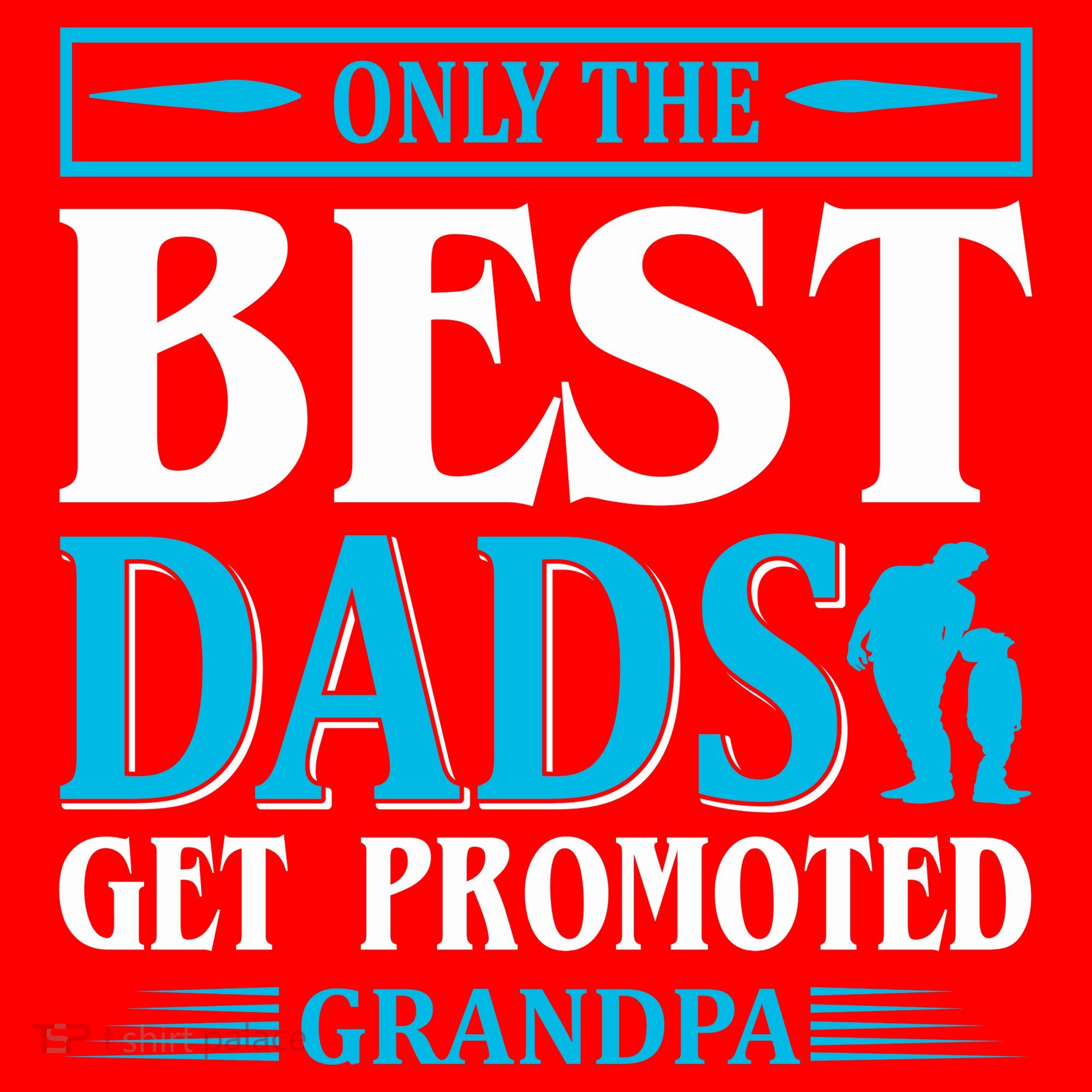 Only The Best Dads Get Promoted To Grandpa Santa Hat